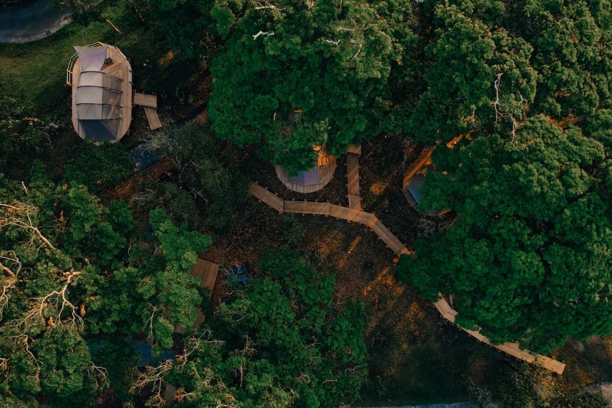 Forest Glamping